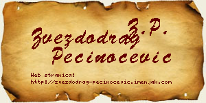 Zvezdodrag Pečinoćević vizit kartica